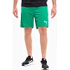 Спортивні шорти чоловічі Puma teamRISE Short зелений