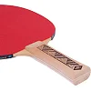 Набор для настольного тенниса DONIC CHAMPS LINE LEVEL 150 см
 MT-788497