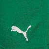 Спортивні шорти чоловічі Puma teamRISE Short зелений