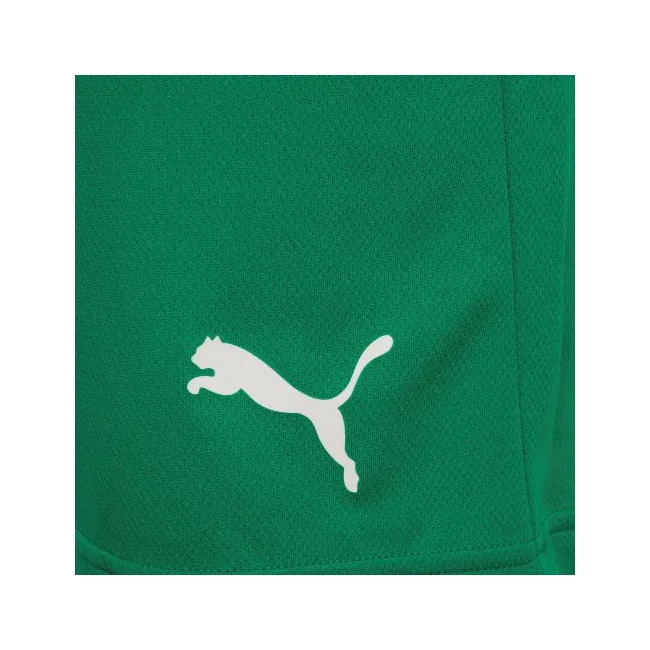 Спортивні шорти чоловічі Puma teamRISE Short зелений
