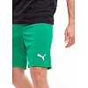 Спортивні шорти чоловічі Puma teamRISE Short зелений