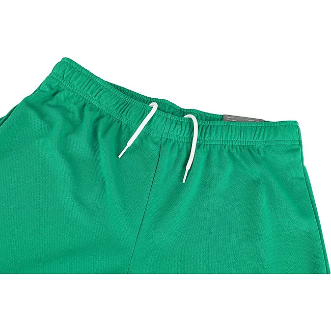 Спортивні шорти чоловічі Puma teamRISE Short зелений