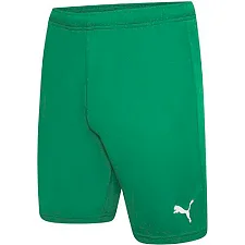 Спортивні шорти чоловічі Puma teamRISE Short зелений