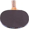 Набор для настольного тенниса DONIC CHAMPS LINE LEVEL 150 см
 MT-788497