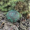 Масажний м'яч PowerPlay PP-4350 Epp Massage Ball (d8) Чорно/Зелений