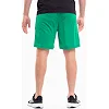 Спортивні шорти чоловічі Puma teamRISE Short зелений