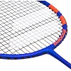 Профессиональная ракетка для бадминтона BABOLAT BB601299-218 EXPLORER II 1 шт