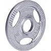 Диск чугунный inSPORTline Hamerton 1,25 кг