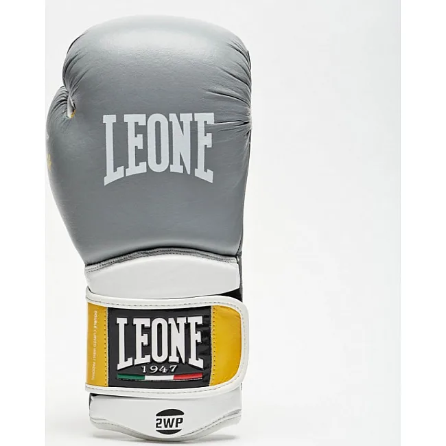 Боксерские перчатки Leone Tecnico