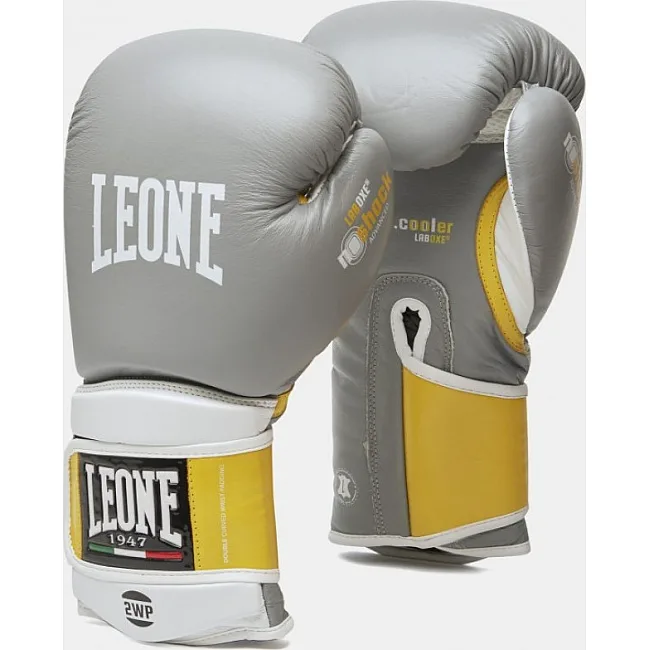 Боксерские перчатки Leone Tecnico