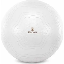 Фитбол мяч для фитнеса сатин BLOOM LB7051-65 ø65см (Белый)