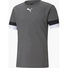 Футболка чоловіча Puma teamRISE Jersey сірий M