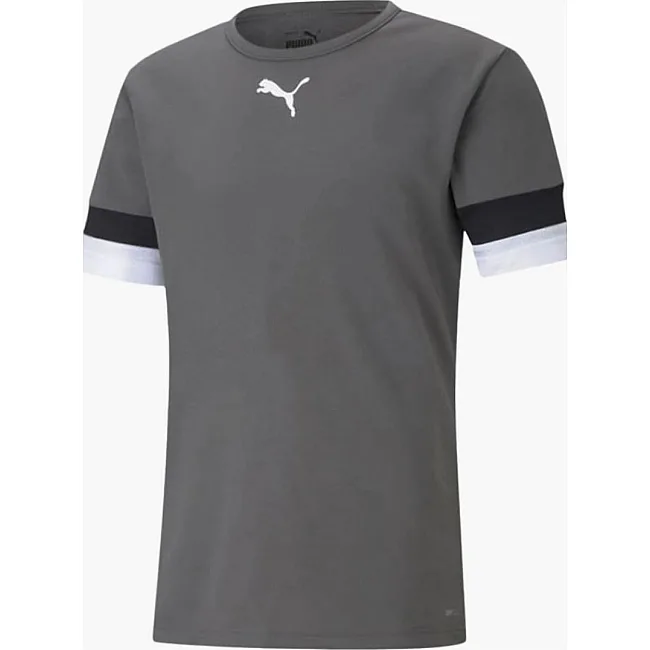 Футболка чоловіча Puma teamRISE Jersey сірий M