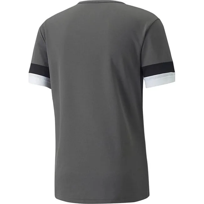 Футболка чоловіча Puma teamRISE Jersey сірий M