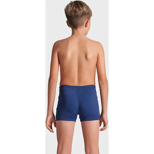 Плавки-шорты для мальчиков Arena LOSANGE GRAPHIC SWIM SHORT синий
