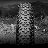 Покрышка на велосипед CONTINENTAL Race King 2.0, 29"x2.00, 50-622, Foldable, PureGrip, ShieldWall System, Skin, 660гр.