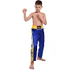 Штаны для кикбоксинга детские MATSA KICKBOXING MA-6736