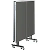 Стіл тенісний inSPORTline OUTDOOR 300, сірий