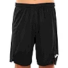 Спортивні шорти
 чоловічі JOMA

 PERFORMANCE MULTISPORT 101958-100 4XS-3XL (Чорний)
