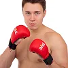 Накладки на руки для карате MATSA

 ZELART

 MA-0010 (Красный)