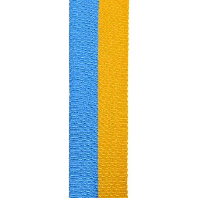 Медаль спортивная с лентой SP-SPORT
 SUCCESS C-0643 ø6см (Золотой)