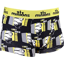 Трусы-боксеры MINIONS MINION - I DON&T GIVE + CUBE мужские, арт.30890353-1
