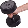 Гантель профессиональная
 с полиуретановым покрытием TECHNOGYM LN-1254-15 1шт 15кг