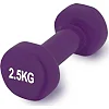 Гантель виниловый POWERPLAY 4125 Achilles 2.5кг. Фиолетовая (1шт)
