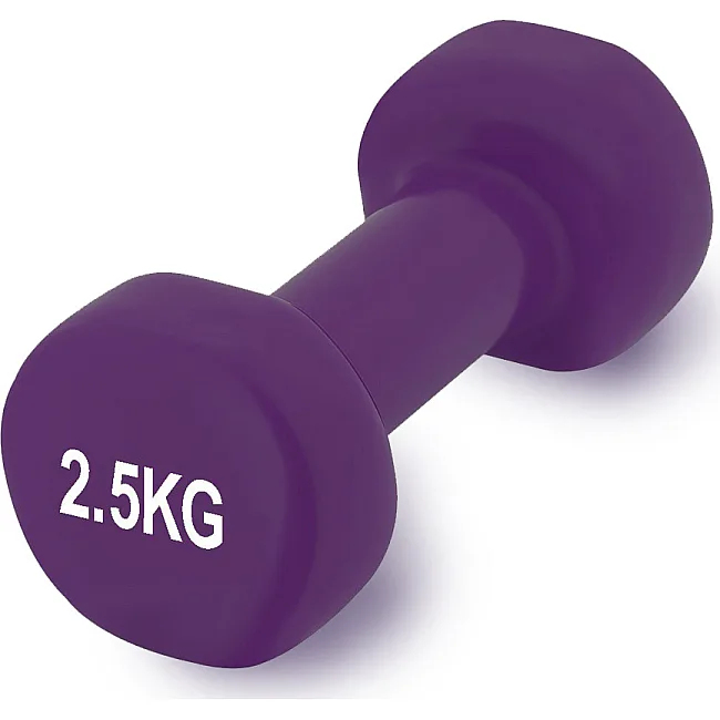 Гантель вінілова POWERPLAY 4125 Achilles 2.5кг. Фіолетова (1шт)