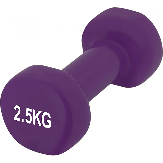 Гантель вінілова POWERPLAY 4125 Achilles 2.5кг. Фіолетова (1шт)