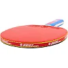 Ракетка для настольного тенниса GIANT DRAGON TAICHI P40+ 3star MT-6508 ST12305P40