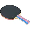 Ракетка для настольного тенниса GIANT DRAGON TAICHI P40+ 3star MT-6508 ST12305P40