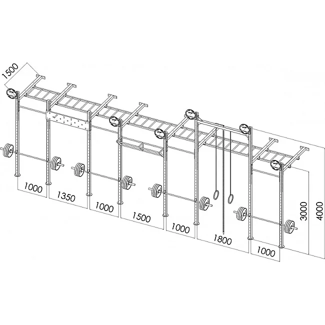 Кроссфит станция V`NOKS EXO 8-4 W