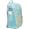 Рюкзак UNDER ARMOUR Hustle Sport 6.0 Backpack 26L голубой 32 х 47 х 19 см