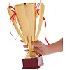 Спортивний кубок
 нагородний SP-SPORT
 Sirius C-5007A
 36см
