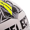 Футбольный мяч
 SELECT CLUB DB FIFA Basic V23 CLUB-5WGR №5 (Белый-серый)