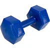 Гантель для фитнеса с PE покрытием ZELART TA-4758-3 1шт 3кг (Синий)