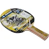 Ракетка для настольного тенниса DONIC Legends 500 FSC MT-714407