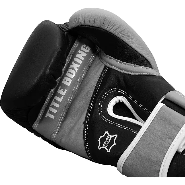 Перчатки снарядные TITLE Boxing Gel World V2T Black Silver