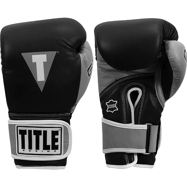 Перчатки снарядные TITLE Boxing Gel World V2T Black Silver