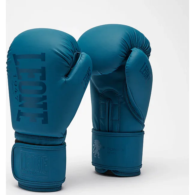 Боксерские перчатки Leone GN058 TONE X Teal