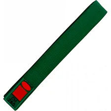 Пояс для дзюдо ESSIMO зеленый