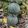 Массажный мяч двойной PowerPlay PP-4352 Epp foam peanut ball (d8*16cm.) Черно/Зеленый