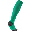 Гетры футбольные Puma Team LIGA Socks зеленый
