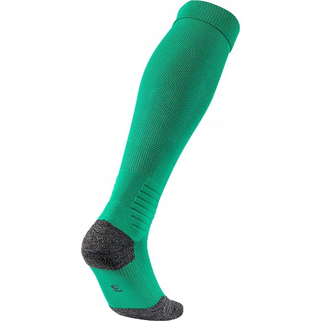 Гетры футбольные Puma Team LIGA Socks зеленый