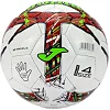 Мяч футбольный Joma DALIII белый, красный, салатовый 5