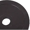 Млинці диски гумові SHUANG CAI SPORTS TA-1447-10B 52мм 10кг