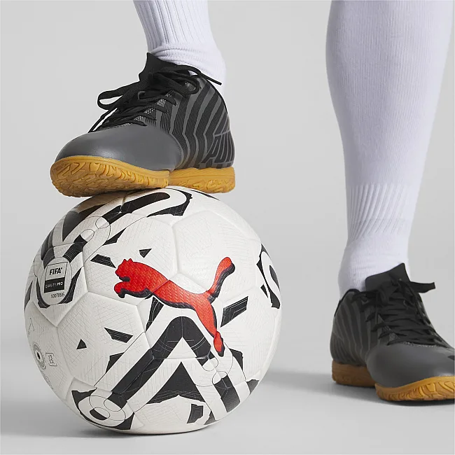 Футбольный мяч PUMA Orbita 2 TB (FIFA Quality Pro) белый 5