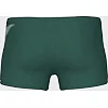Плавки-шорты для мужчин Arena BRIGHT GLARE SWIM SHORT зеленый, белый