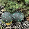 Массажный мяч двойной PowerPlay PP-4352 Epp foam peanut ball (d8*16cm.) Черно/Зеленый